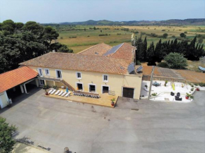 Maison spacieuse près de Lespignan avec piscine privée